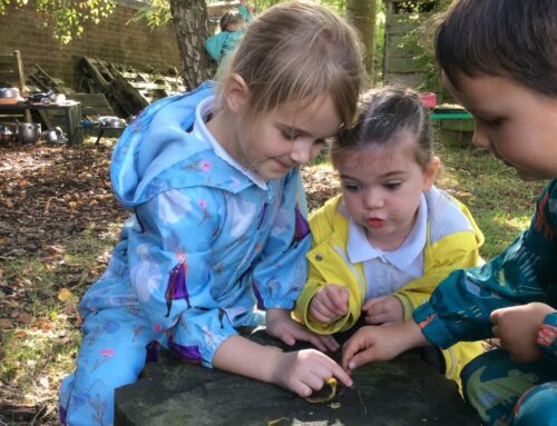 Outdoor Learning