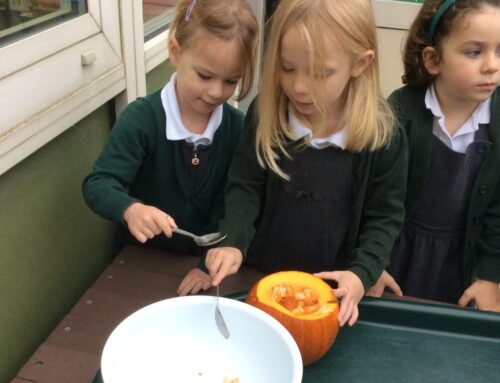 The Big Bad Wolf Investigates… Pumpkin Boats!