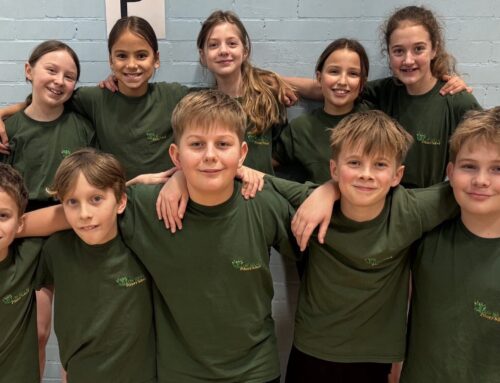 Sportshall Athletics Qualifiers