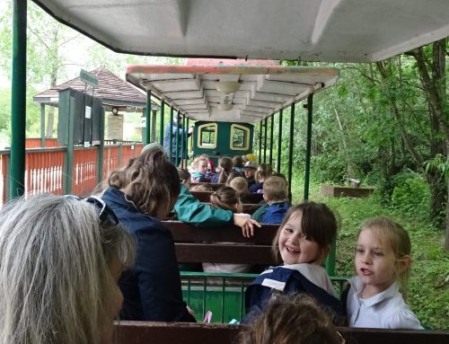 Key Stage 1 Conkers Takeover!